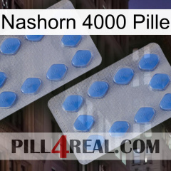 Rhino 4000 Pill 20